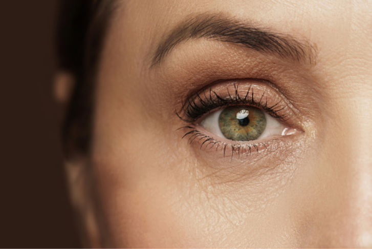 Cuenca del ojo y su morfología: Qué es, características y padecimientos